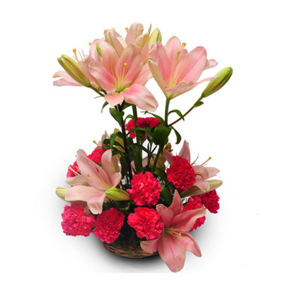 Buy 10 Pink Lily And 12 Carnation Flowers Basket