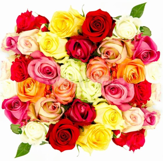 Online Flower Delivery Chandigarh